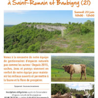 Au rythme des sabots à Saint-Romain et Baubigny