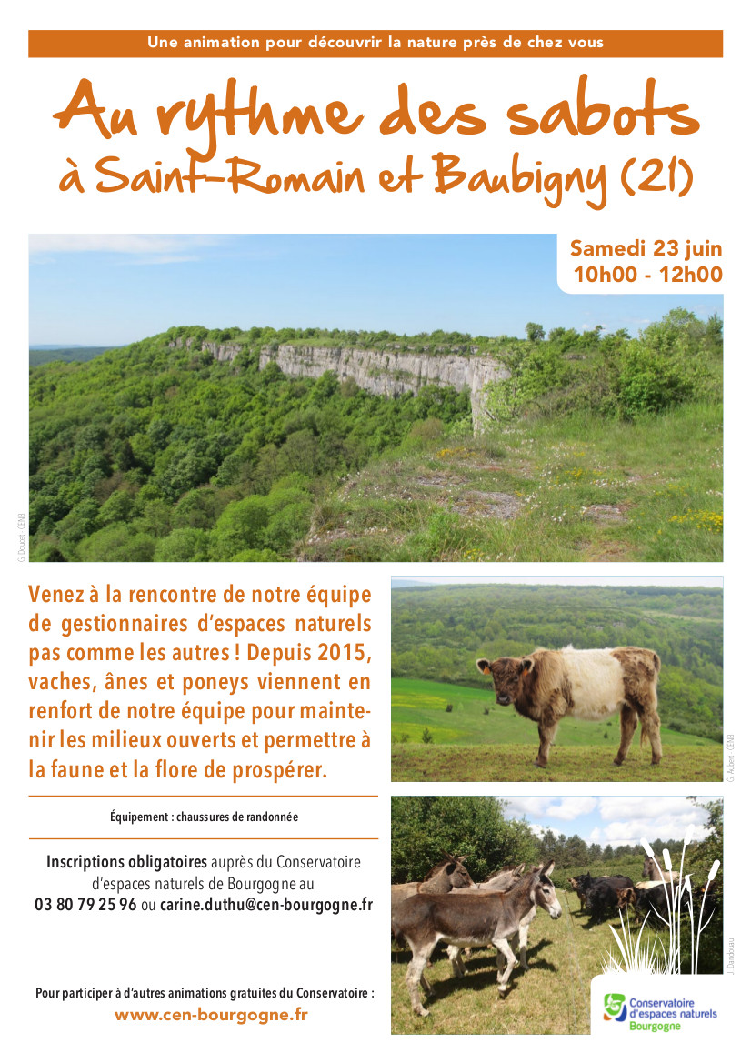 Au rythme des sabots à Saint-Romain et Baubigny