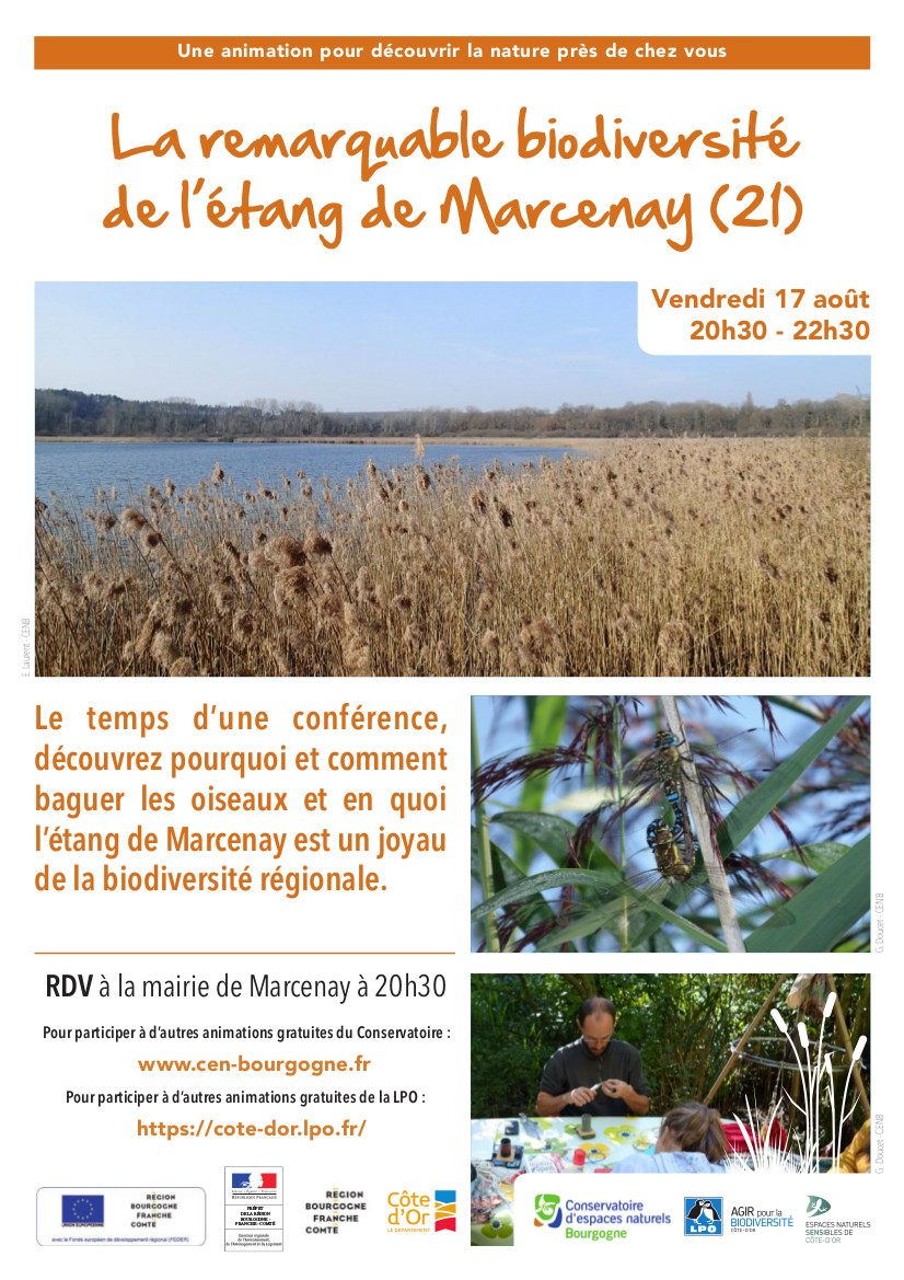 La remarquable biodiversité de l’étang de Marcenay