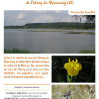 Insectes et flore sauvage  de l’étang de Marcenay
