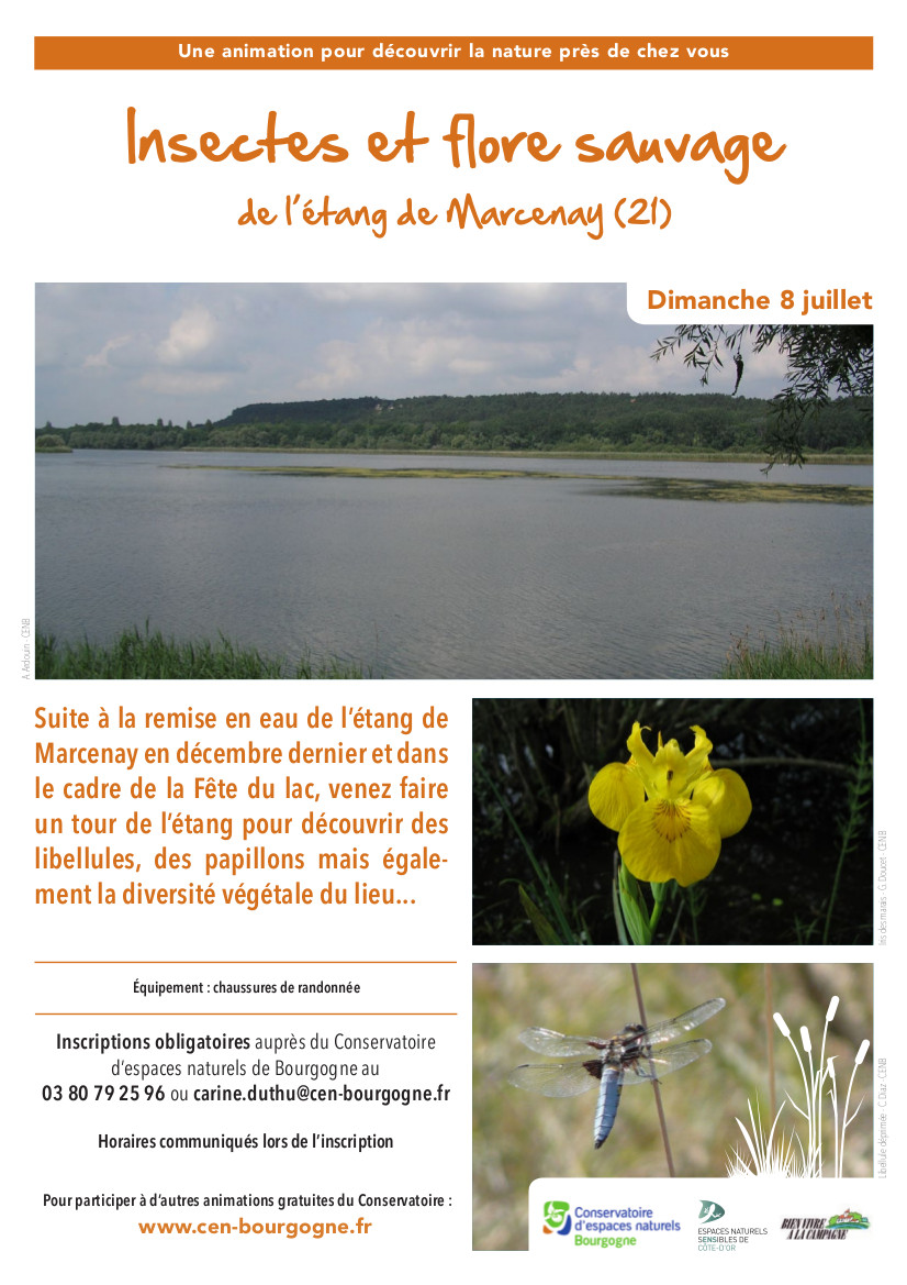 Insectes et flore sauvage  de l’étang de Marcenay