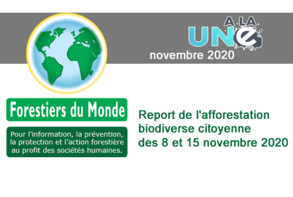 Report de l’afforestation biodiverse citoyenne des 8 et 15 novembre 2020